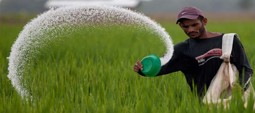 Dealers hoarded, smuggled Urea to cause fertilizer shortage: interior ministry