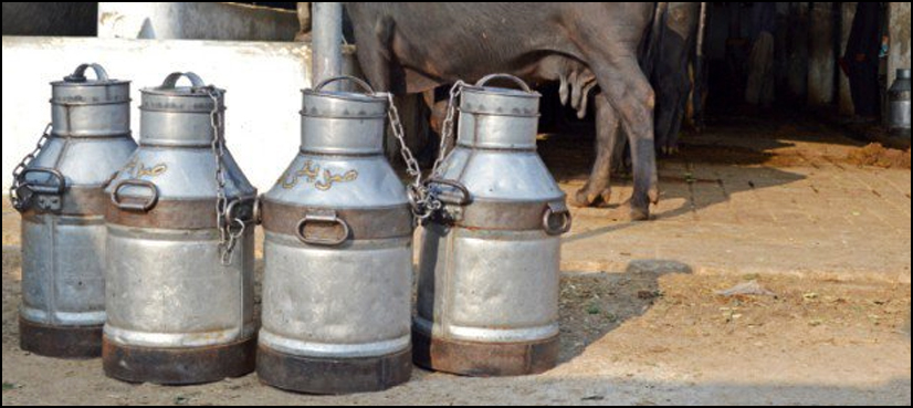 Faisalabad: 94 persons hospitalized after consuming unhygienic milk