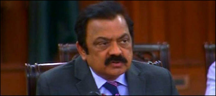 Govt will not hinder Raiwind March, says Rana Sanaullah