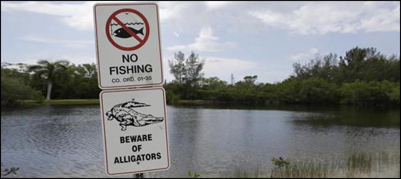 Disney to post alligator warning signs after boy's death