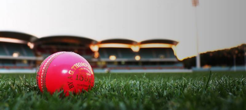 Australia players union urges upgrade for pink ball Test conditions