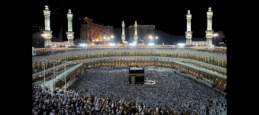Pakistan should urge Saudi Arabia to reconsider Umrah visa fees: TAA