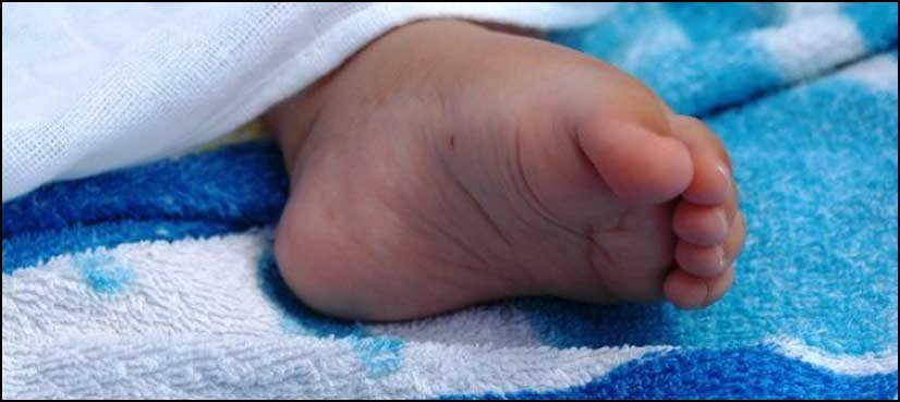 Police arrest gang involved in hospital kidnappings
