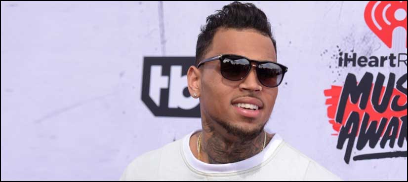Singer Chris Brown freed after standoff with police