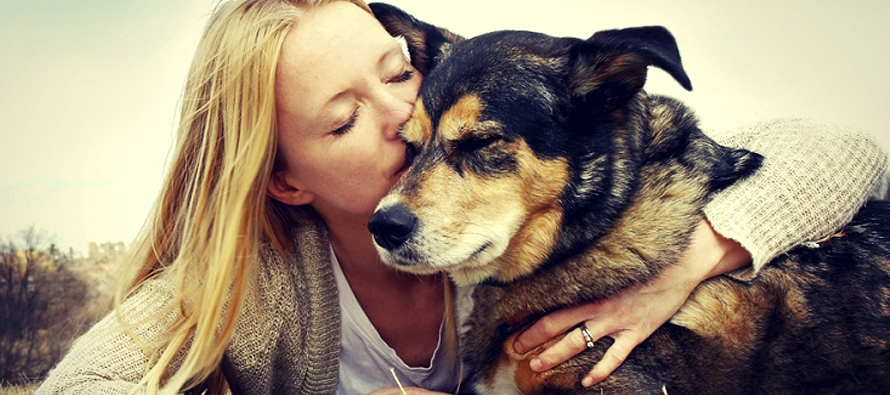 Dogs, like humans, distinguish words and intonation