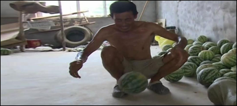 Fruit or football? Unusually strong watermelons ‘spring’ in China