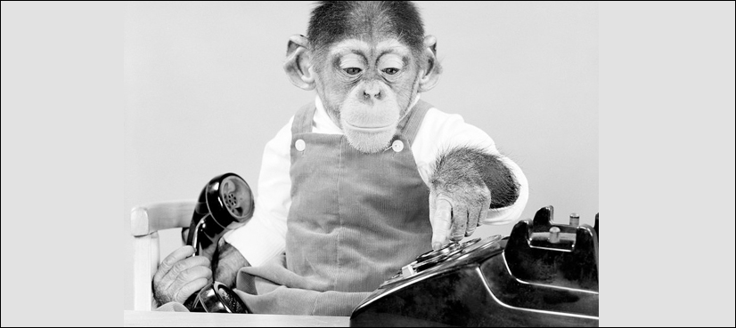 WATCH: Did chimp really turned into human in nine-month-long experiment?