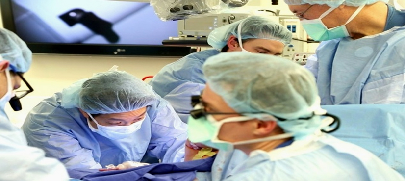 Less toxic bone marrow transplants on horizon: US scientists