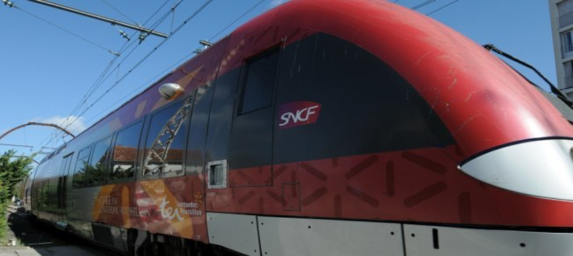 Eight seriously injured in France train crash