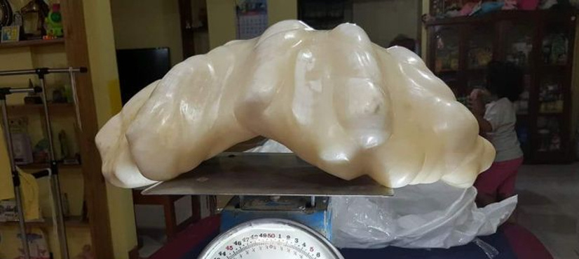 'World's largest' pearl emerges in Philippines