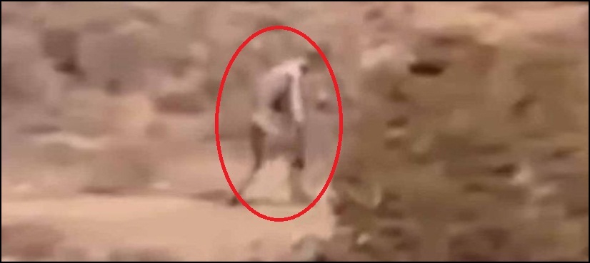 WATCH: Strange man-like creature spotted in Portugal