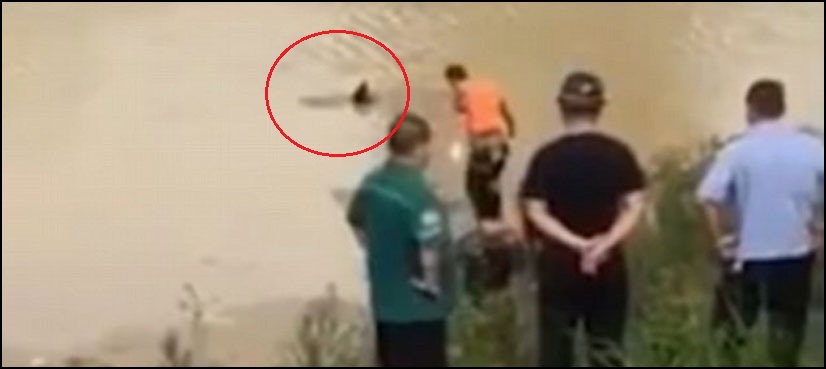 CCTV footage shows ‘dead body’ floating in river comes back to life