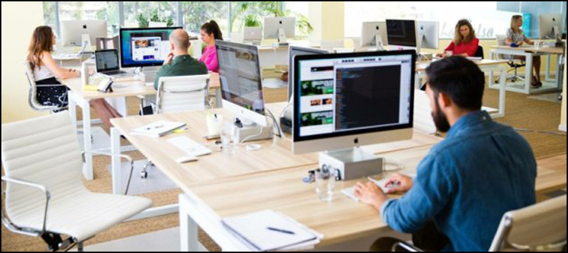 People who cunningly use cooperation and egoism are unbeatable: study