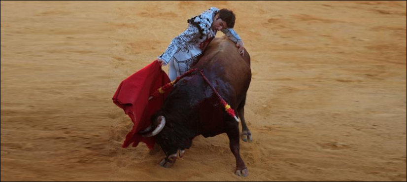 Thousands protest bullfighting in Spain as calls for ban strengthen