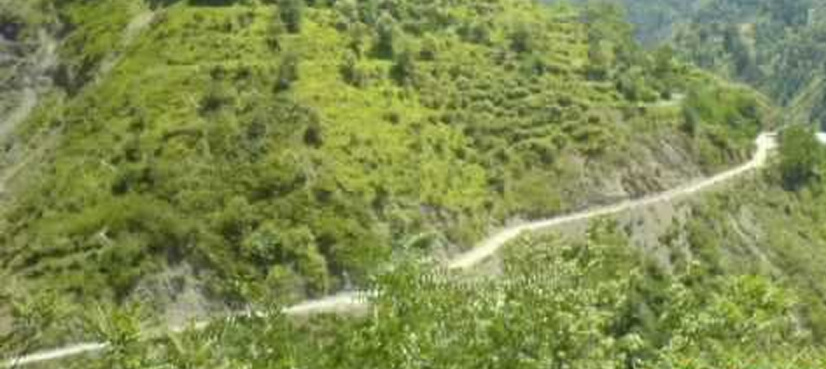 Seven dead as van falls in ravine near Abbottabad