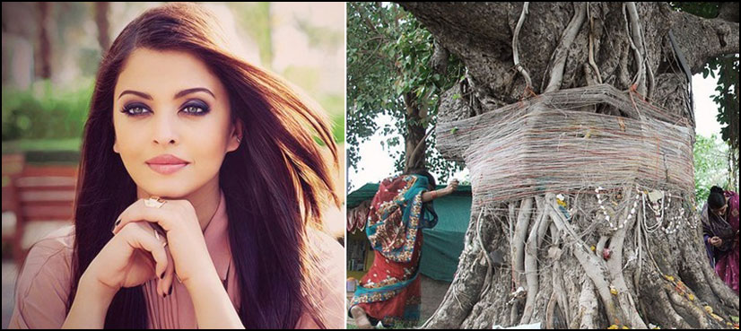 Did Aishwarya ever marry a tree? Debate opens up again!