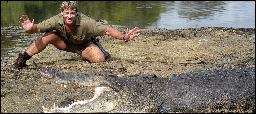 'Crocodile Hunter' commemorated decade after death