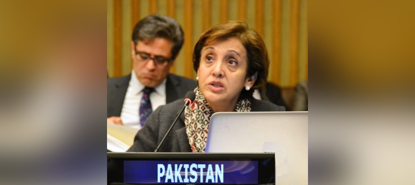 Pakistan urges prevention of biochemical arms from going into wrong hands