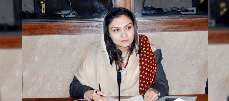 Minister of State mulls implementation of women protection laws