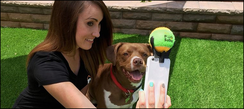 This new selfie stick for dogs will amaze you