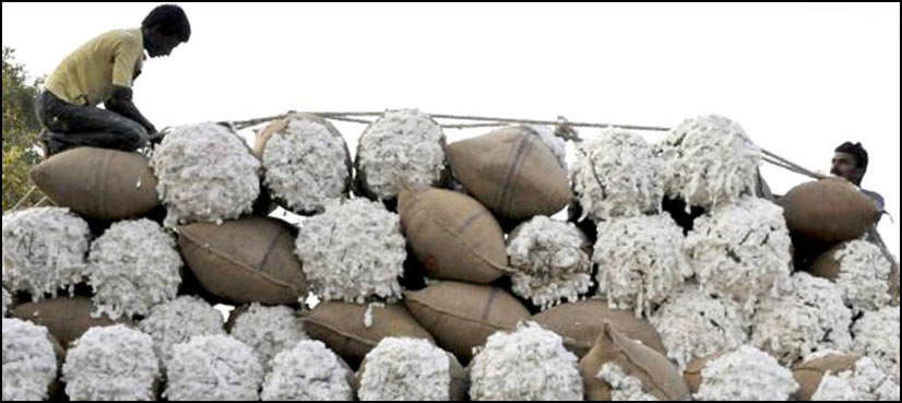 Pakistan puts cotton imports from India on hold as tensions mount