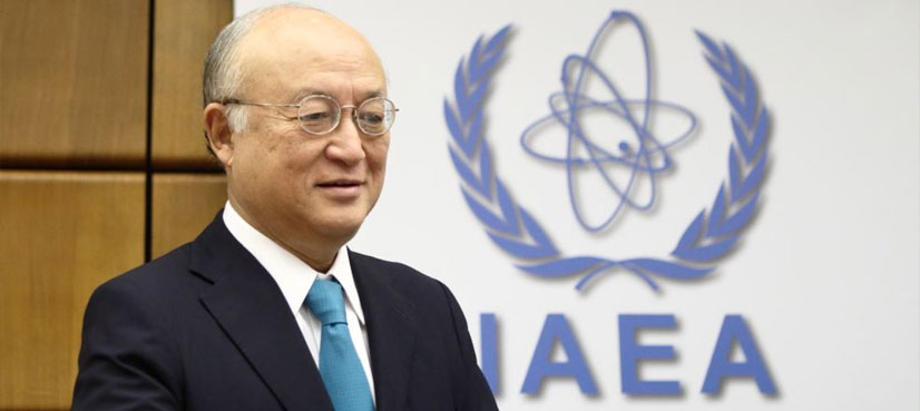 IAEA chief: Nuclear power plant was disrupted by cyber attack