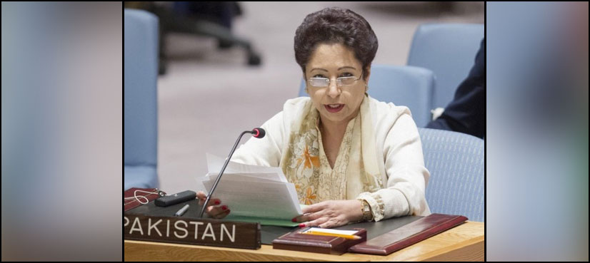 Pakistan calls for regional cooperation for dispute resolution