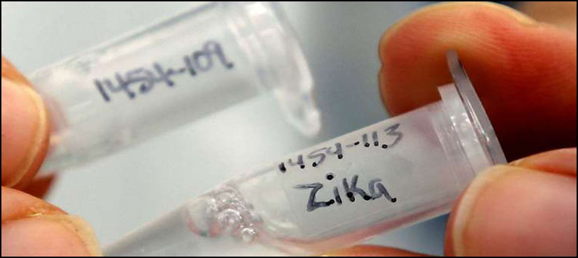 Zika likely to spread in Asia-Pacific region, WHO warns