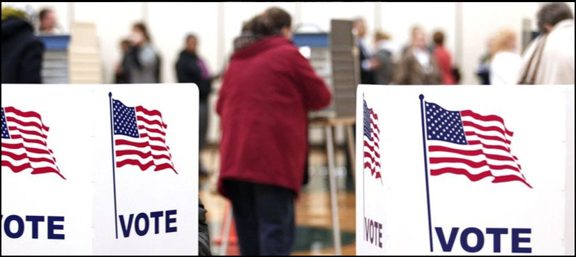 The US presidential election: a how-to guide