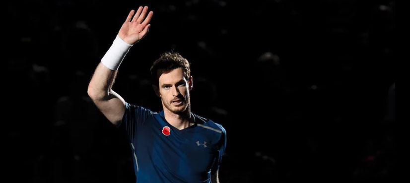 Murray marks world top spot with Paris triumph