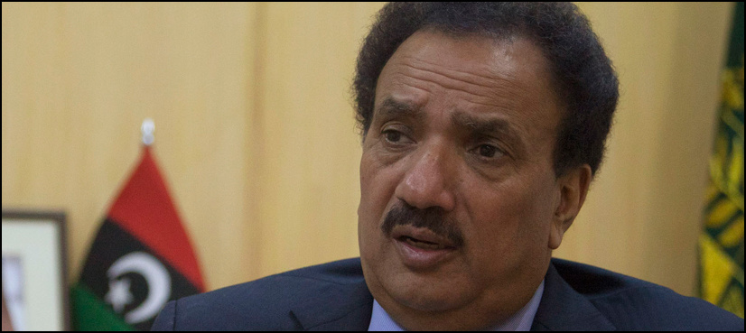 Rehman Malik says FATF grey-listing 'influenced by Indian propaganda against Pakistan'