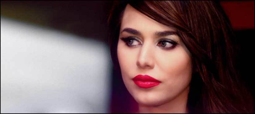 SHC reserves verdict on Ayyan's ECL plea