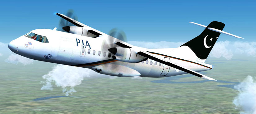 Environmental control committee formed to prevent bridstrike, laser light incidents at airports