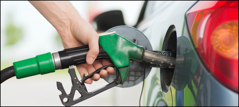 Petroleum prices to remain unchanged till Jan 15