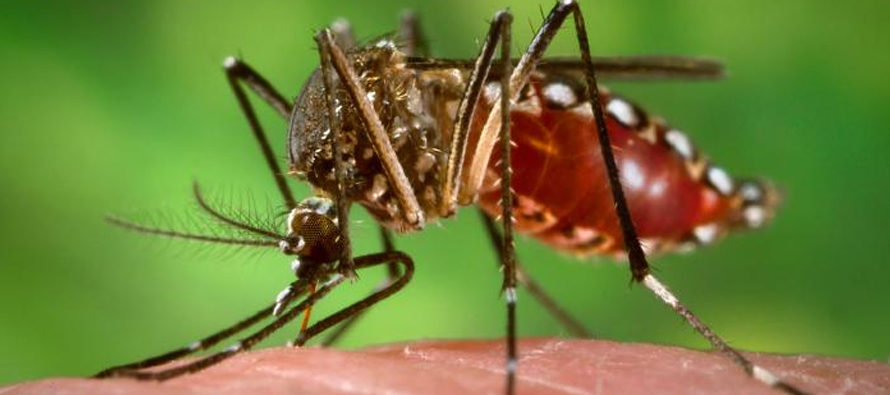 WATCH: Things to know about the 'mysterious disease' wreaking havoc in Karachi