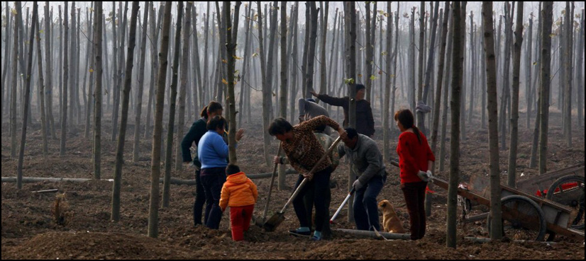 Chinese man gets prison term for criticising land reform on internet