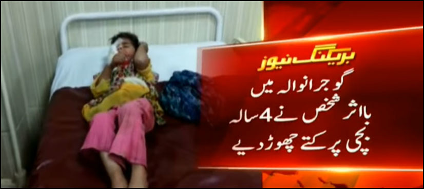 'Influential family' unleashes dogs on four year old girl in Gujranwala