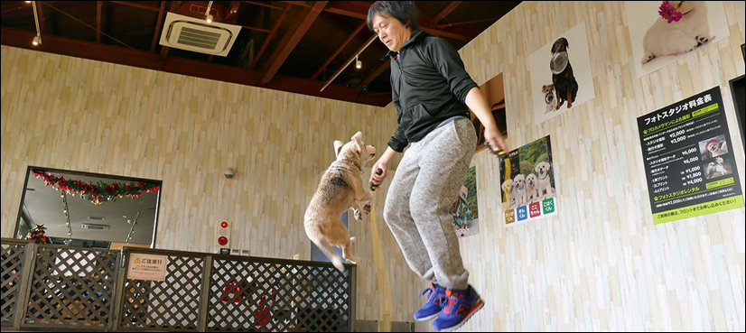 Pet owners more likely to find ticks on themselves