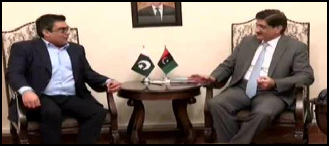 ARY Digital Network CEO Salman Iqbal meets chief minister of Sindh