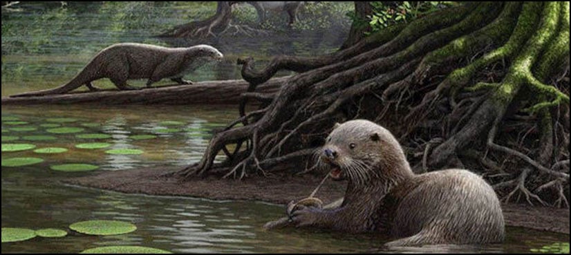 Giant wolf-size otters once roamed China