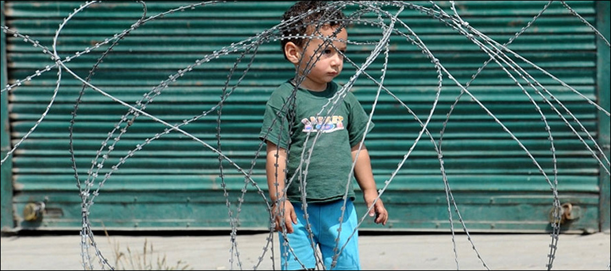 Kashmir Solidarity Day observed in Cairo