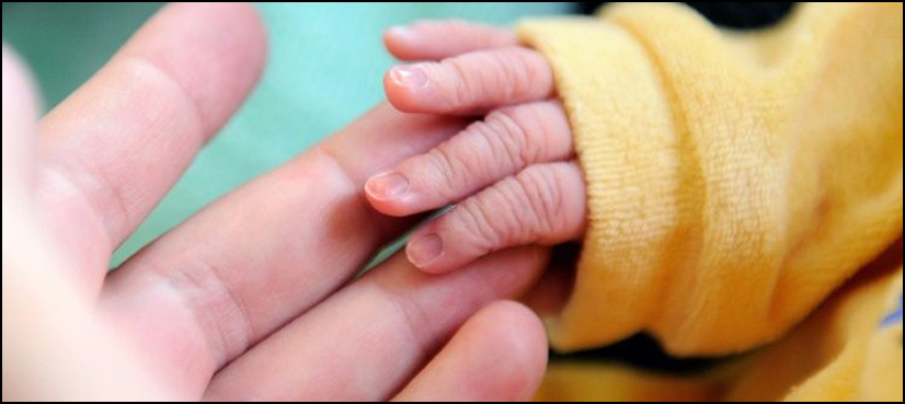 Baby brain scans may reveal autism risk: study