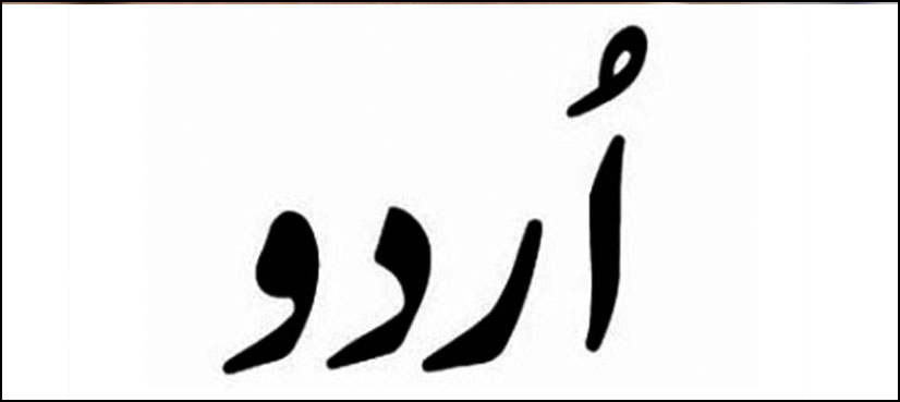 Digital Pakistan: Internet users can register and use websites in Urdu