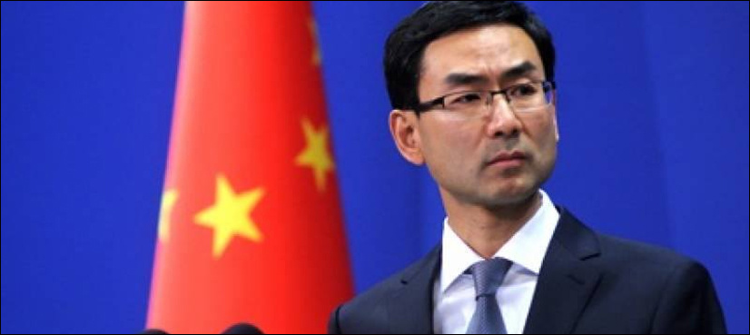 ECO summit to inject new impetus to regional economic growth: China