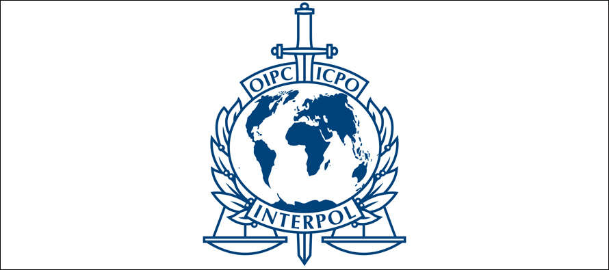 UAE donates $54m to Interpol