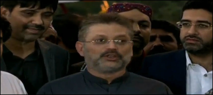SHC grants interim bail to PPP's Sharjeel Memon