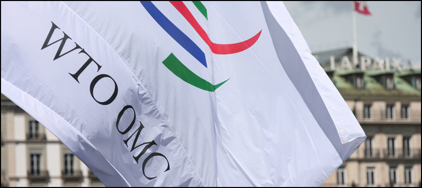 WTO faces first attack from US under Trump