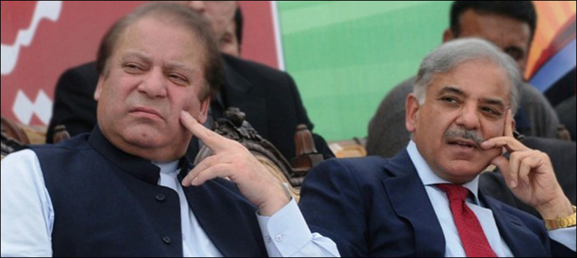 'Shehbaz Sharif next prime minister if PML-N sweeps to power'