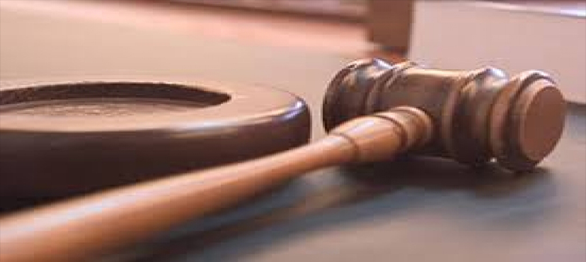 Court hears bail plea of University Prof. Dr. Riaz Ahmed