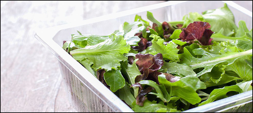 Dead bat found in Florida prepackaged salad